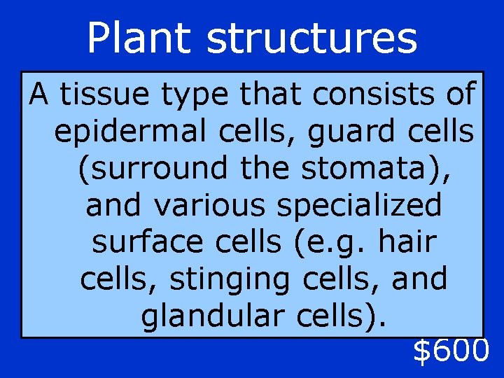 Plant structures A tissue type that consists of epidermal cells, guard cells (surround the