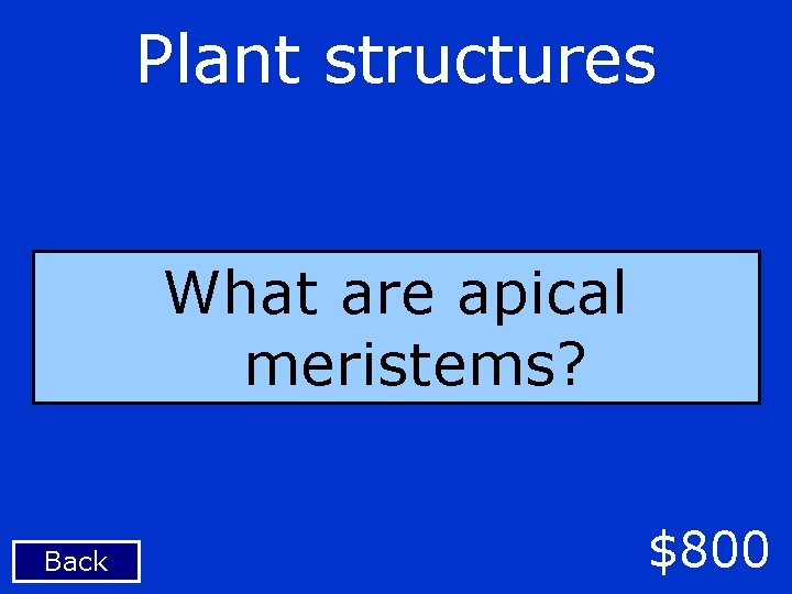 Plant structures What are apical meristems? Back $800 