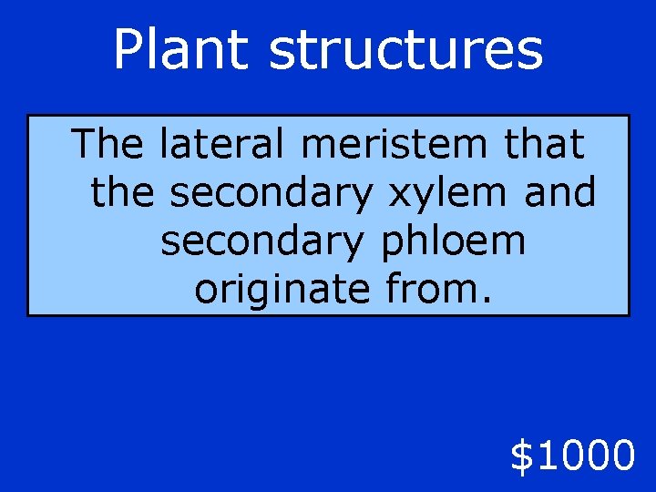 Plant structures The lateral meristem that the secondary xylem and secondary phloem originate from.