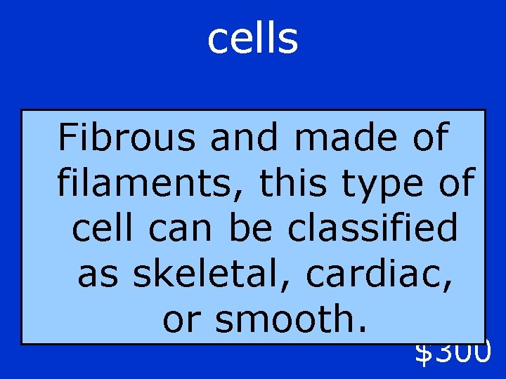 cells Fibrous and made of filaments, this type of cell can be classified as