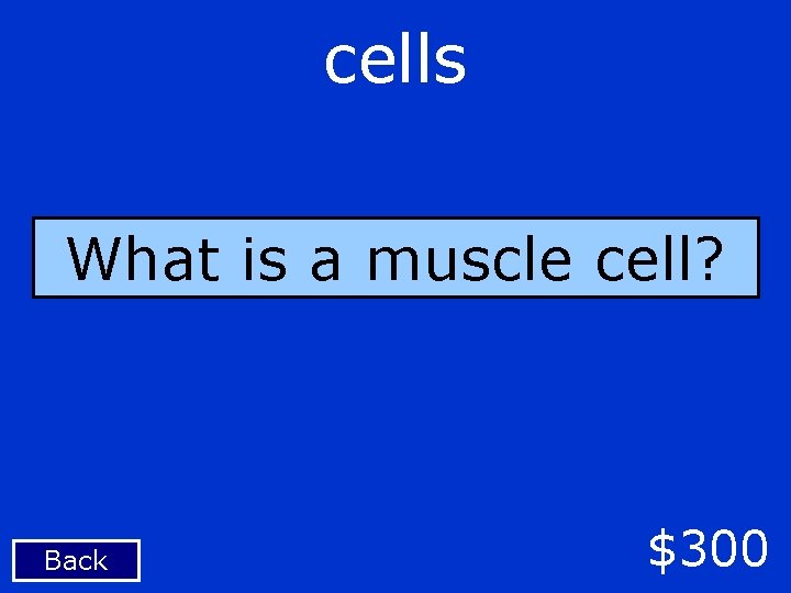 cells What is a muscle cell? Back $300 