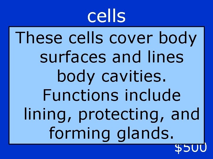 cells These cells cover body surfaces and lines body cavities. Functions include lining, protecting,