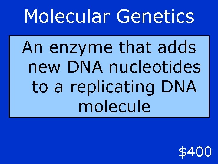 Molecular Genetics An enzyme that adds new DNA nucleotides to a replicating DNA molecule