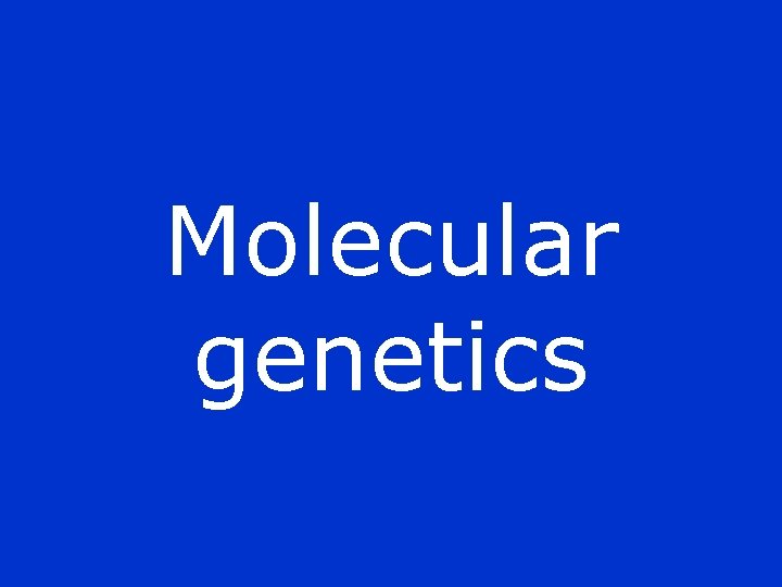 Molecular genetics 