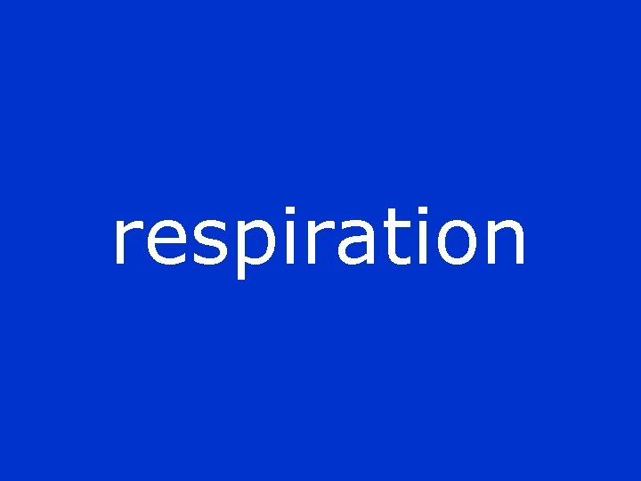 respiration 