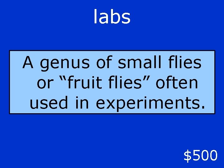labs A genus of small flies or “fruit flies” often used in experiments. $500