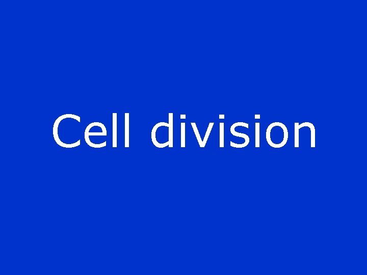 Cell division 