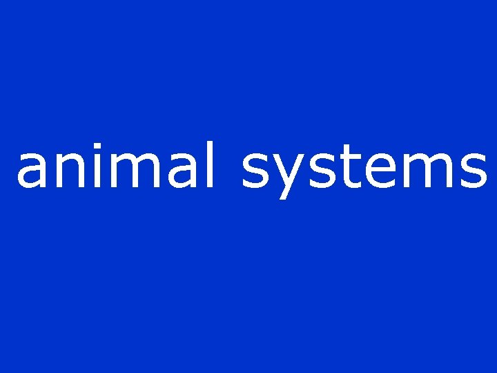 animal systems 