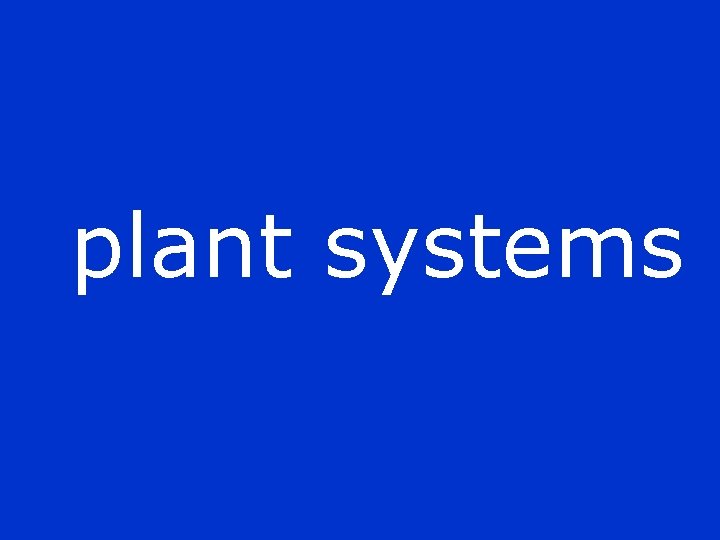 plant systems 