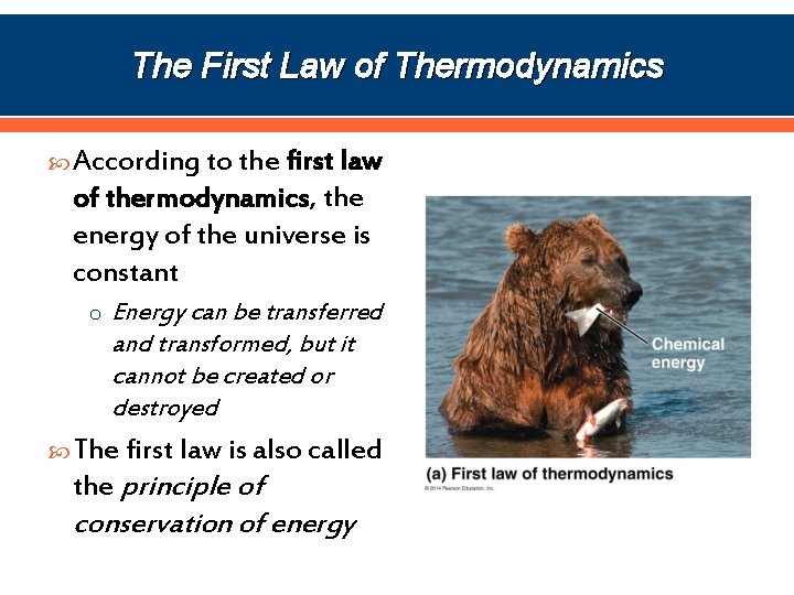 The First Law of Thermodynamics According to the first law of thermodynamics, the energy