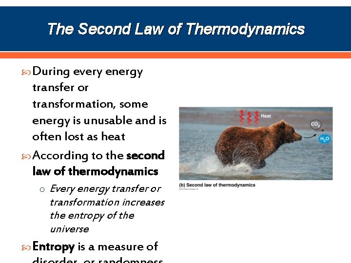 The Second Law of Thermodynamics During every energy transfer or transformation, some energy is