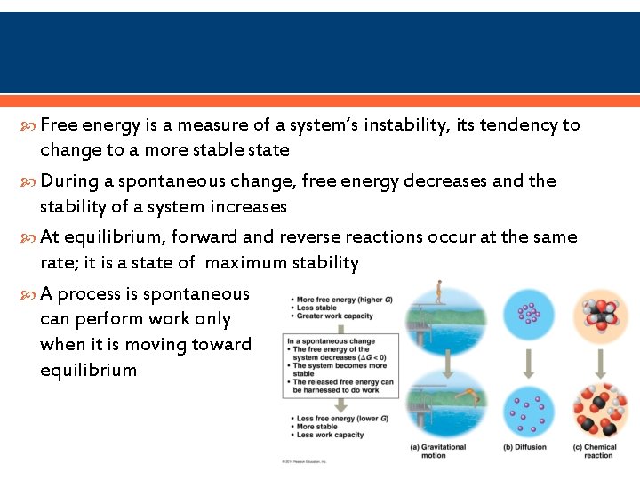  Free energy is a measure of a system’s instability, its tendency to change