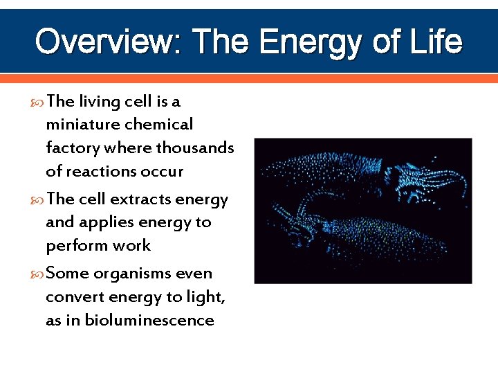 Overview: The Energy of Life The living cell is a miniature chemical factory where