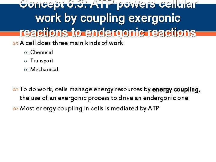 Concept 6. 3: ATP powers cellular work by coupling exergonic reactions to endergonic reactions