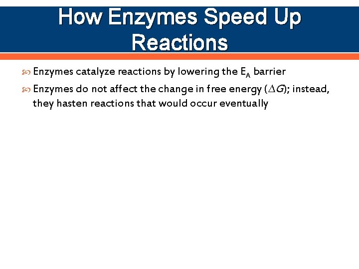 How Enzymes Speed Up Reactions Enzymes catalyze reactions by lowering the EA barrier Enzymes
