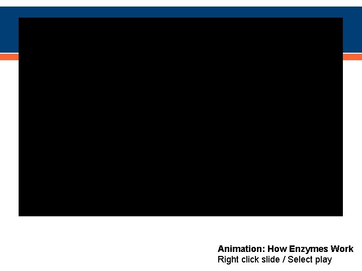 Animation: How Enzymes Work Right click slide / Select play 