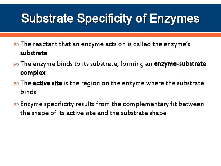 Substrate Specificity of Enzymes The reactant that an enzyme acts on is called the
