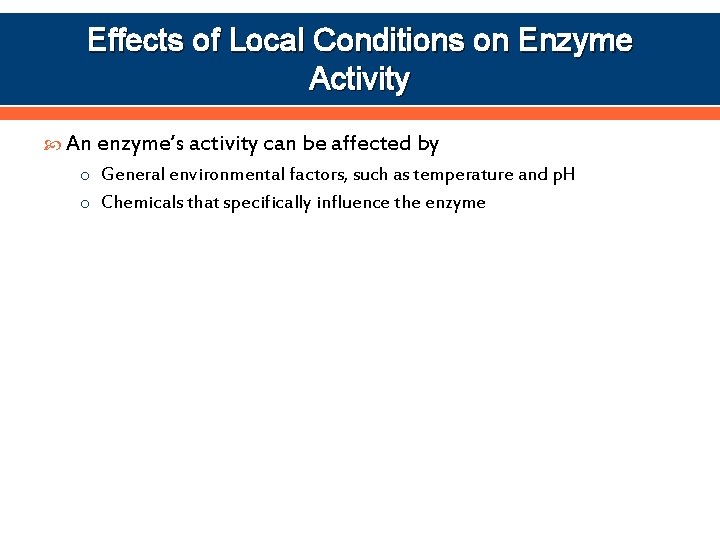 Effects of Local Conditions on Enzyme Activity An enzyme’s activity can be affected by