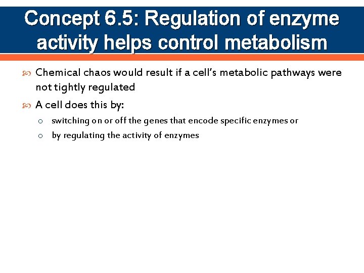 Concept 6. 5: Regulation of enzyme activity helps control metabolism Chemical chaos would result