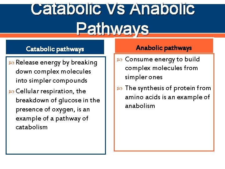 Catabolic Vs Anabolic Pathways Anabolic pathways Catabolic pathways Release energy by breaking down complex