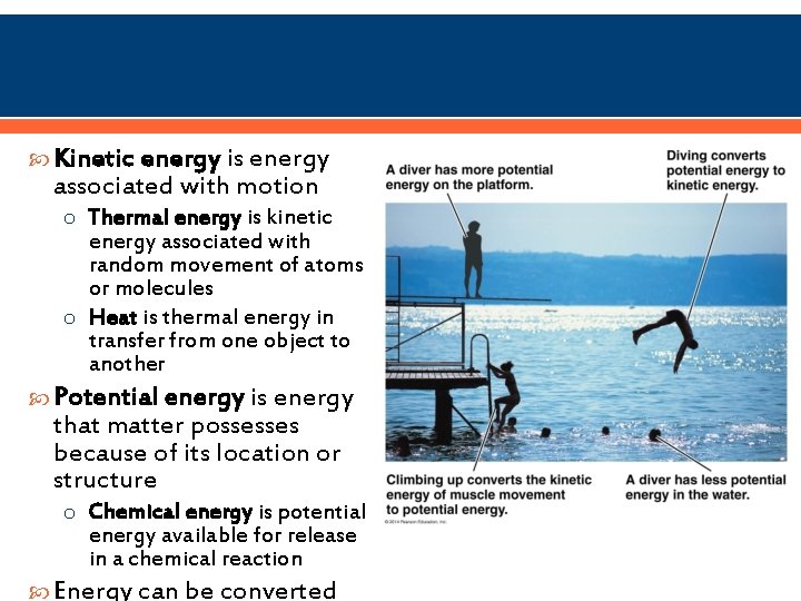  Kinetic energy is energy associated with motion o Thermal energy is kinetic energy