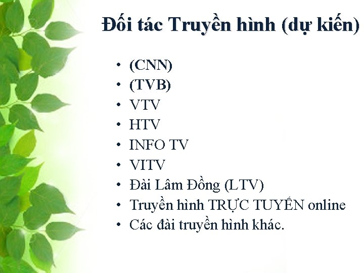 Đối tác Truyền hình (dự kiến) • • • (CNN) (TVB) VTV HTV INFO