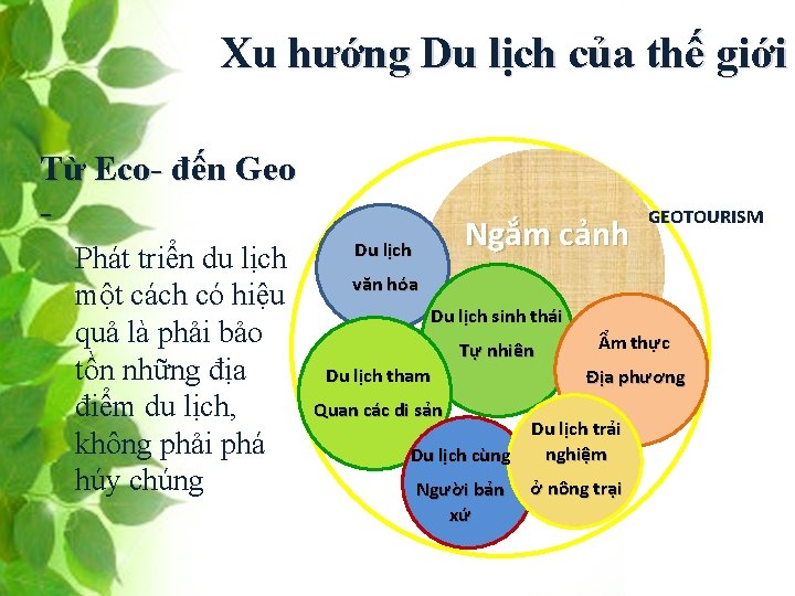 Xu hướng Du lịch của thế giới Từ Eco- đến Geo Phát triển du