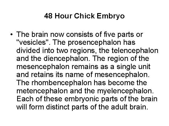 48 Hour Chick Embryo • The brain now consists of five parts or "vesicles".