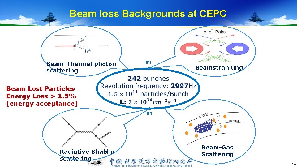 Beam loss Backgrounds at CEPC Beam-Thermal photon scattering IP 1 Beamstrahlung Beam Lost Particles