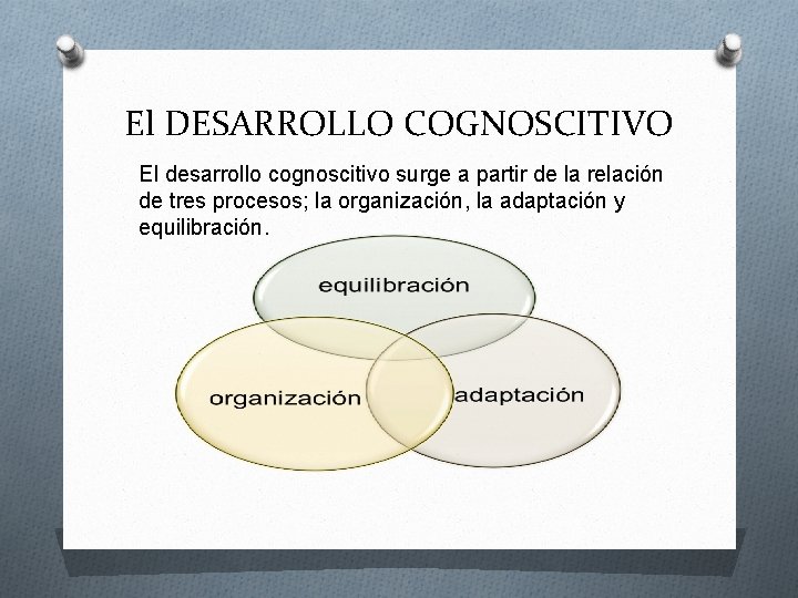 El DESARROLLO COGNOSCITIVO El desarrollo cognoscitivo surge a partir de la relación de tres