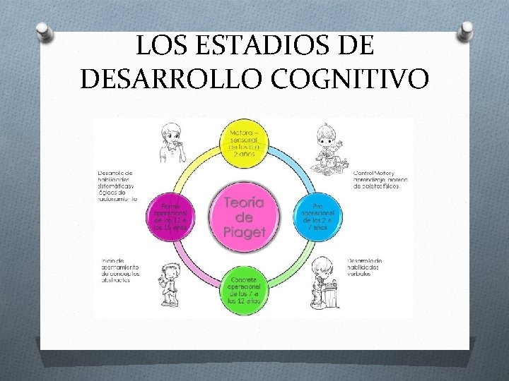 LOS ESTADIOS DE DESARROLLO COGNITIVO 