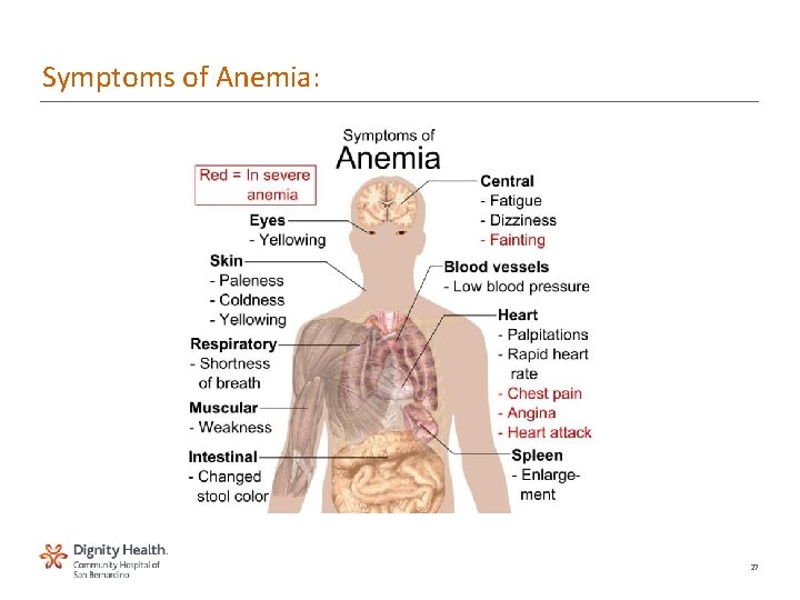 Symptoms of Anemia: 27 