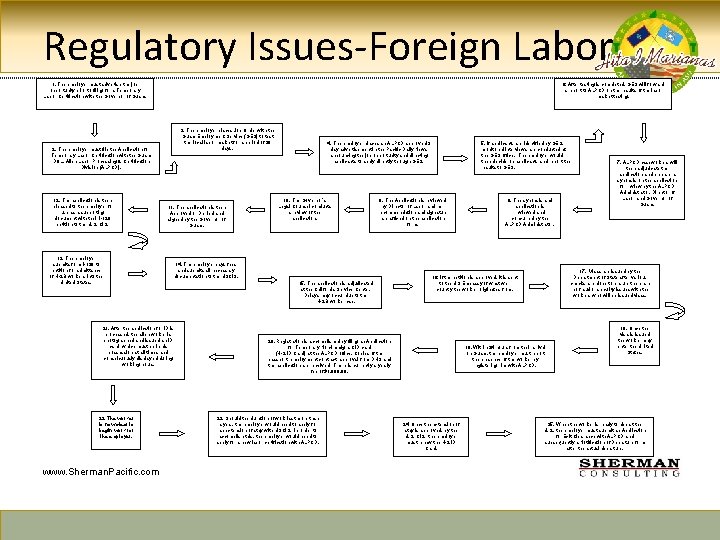 Regulatory Issues-Foreign Labor 1. The employer must advertise the job opportunity prior to filing