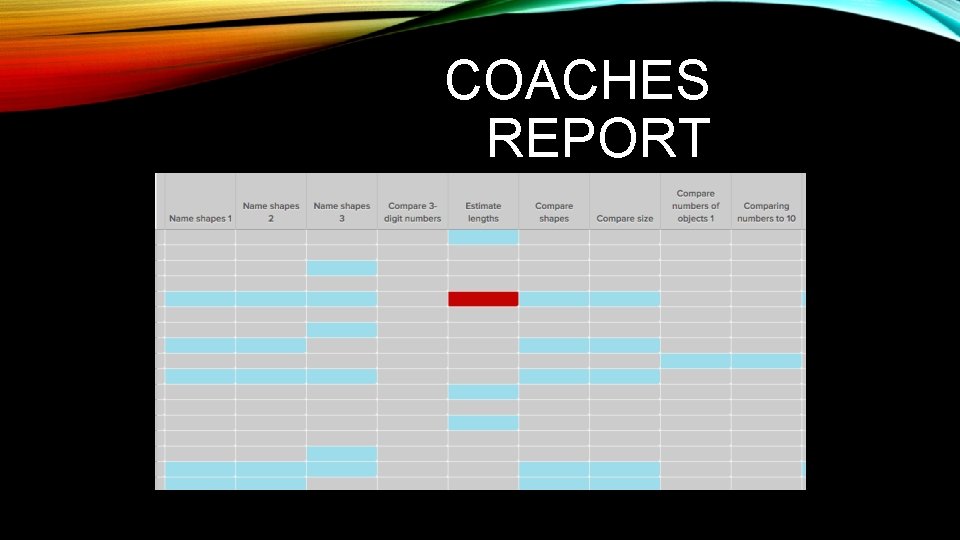 COACHES REPORT 