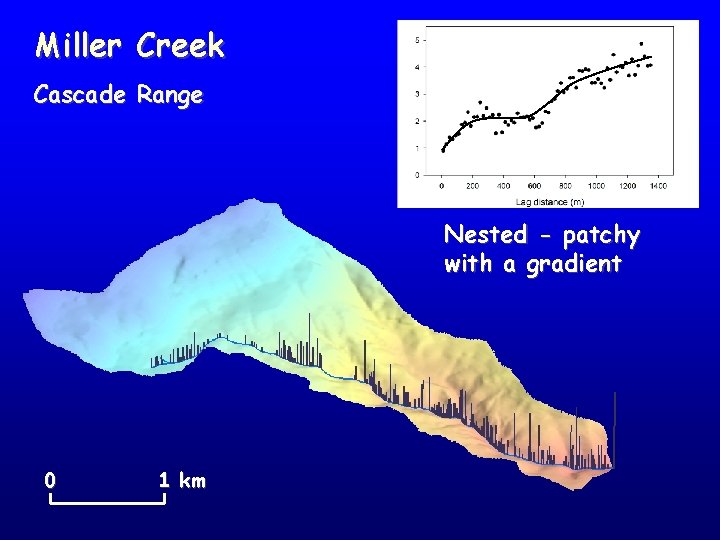 Miller Creek Cascade Range Nested - patchy with a gradient 0 1 km 