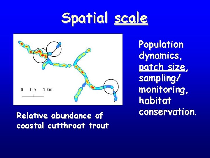 Spatial scale Relative abundance of coastal cutthroat trout Population dynamics, patch size, sampling/ monitoring,