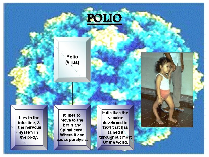 POLIO Polio (virus) Lies in the intestine, & the nervous system in the body.