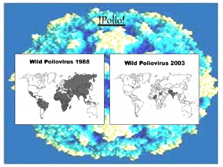 !Polio! 