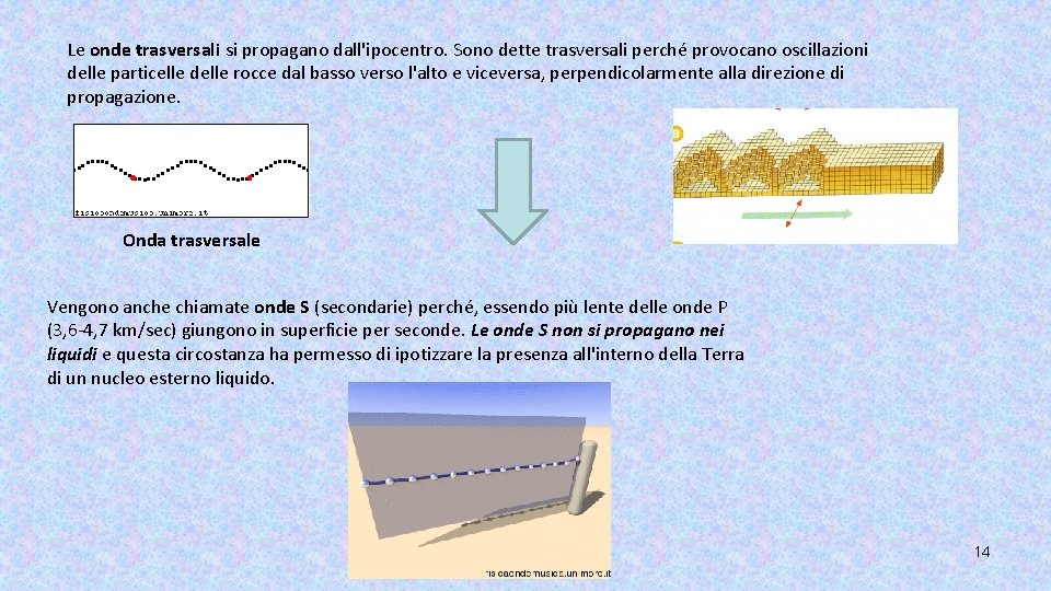 Le onde trasversali si propagano dall'ipocentro. Sono dette trasversali perché provocano oscillazioni delle particelle