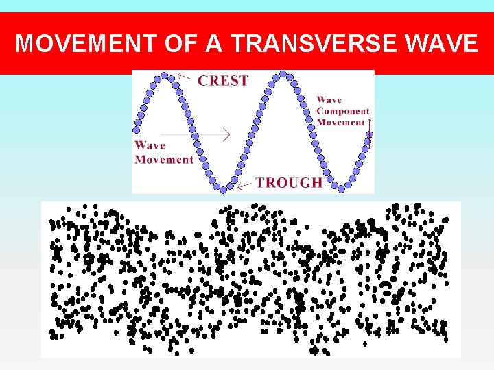 MOVEMENT OF A TRANSVERSE WAVE 