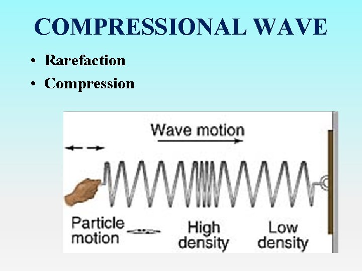 COMPRESSIONAL WAVE • Rarefaction • Compression 