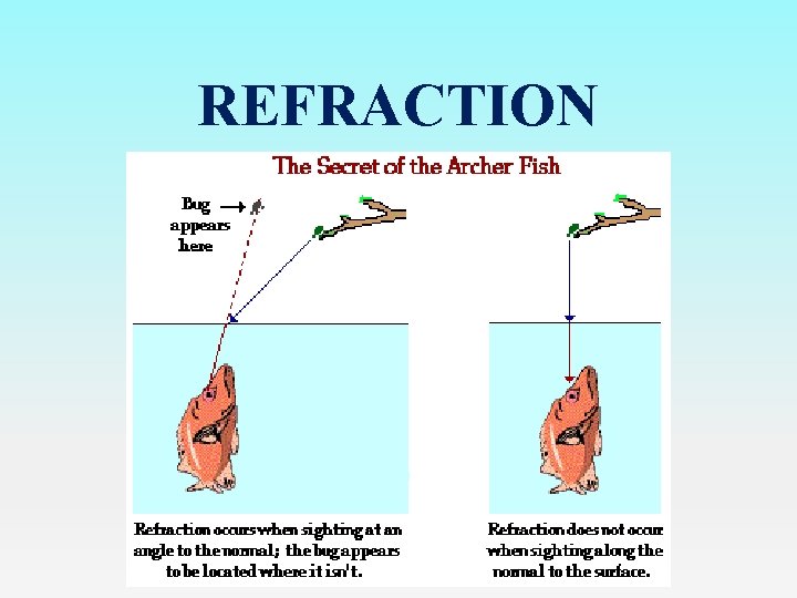 REFRACTION 