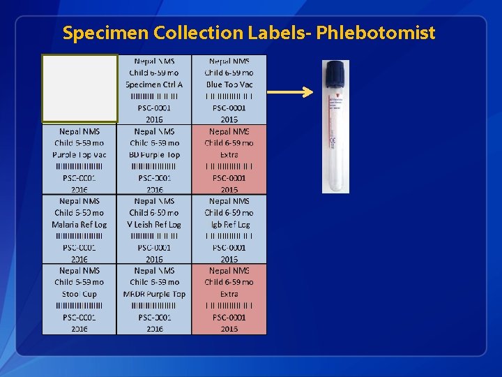 Specimen Collection Labels- Phlebotomist 