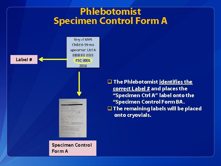 Phlebotomist Specimen Control Form A Label # q The Phlebotomist identifies the correct Label