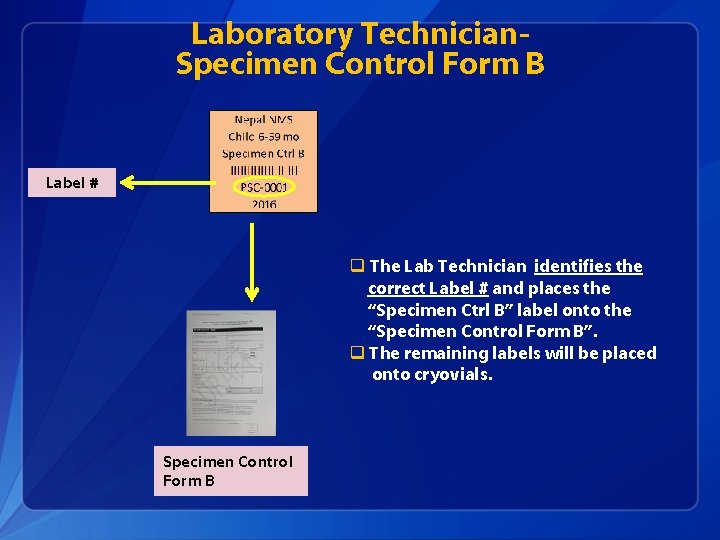 Laboratory Technician. Specimen Control Form B Label # q The Lab Technician identifies the