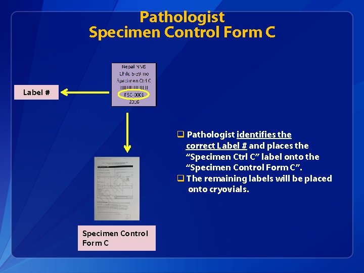 Pathologist Specimen Control Form C Label # q Pathologist identifies the correct Label #