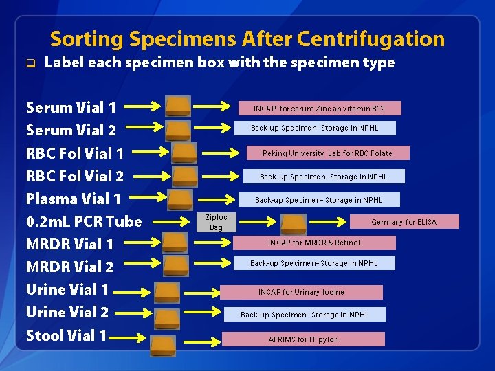 Sorting Specimens After Centrifugation q Label each specimen box with the specimen type Serum