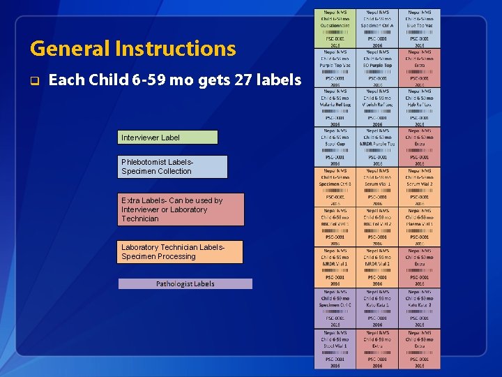 General Instructions q Each Child 6 -59 mo gets 27 labels Interviewer Label Phlebotomist