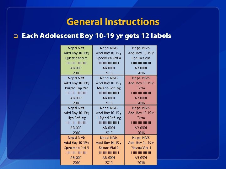 General Instructions q Each Adolescent Boy 10 -19 yr gets 12 labels 
