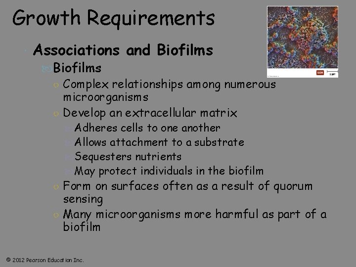 Growth Requirements Associations and Biofilms ○ Complex relationships among numerous microorganisms ○ Develop an